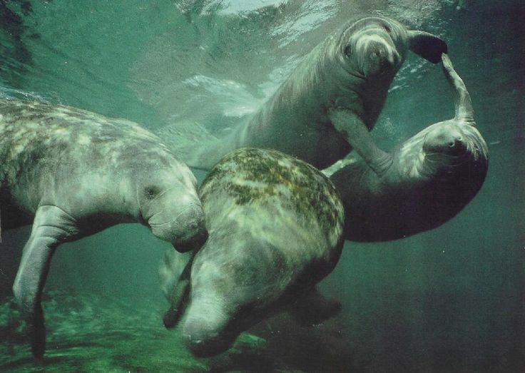 November Dance in&nbsp;Miami!